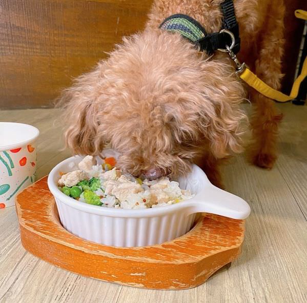 森林小徑健行店对宠物超友善